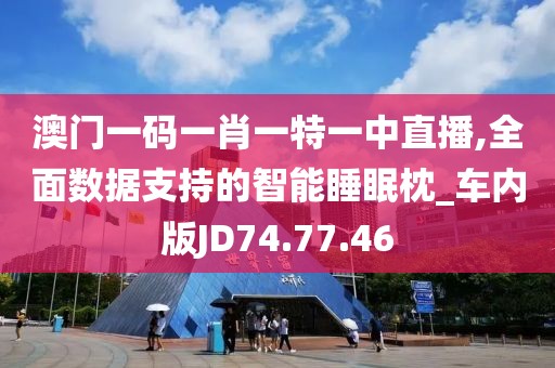 澳门一码一肖一特一中直播,全面数据支持的智能睡眠枕_车内版JD74.77.46