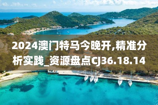 2024澳门特马今晚开,精准分析实践_资源盘点CJ36.18.14