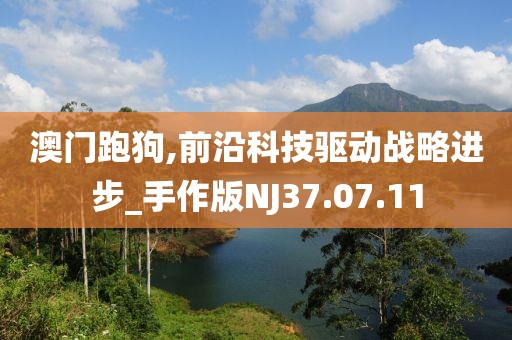 澳门跑狗,前沿科技驱动战略进步_手作版NJ37.07.11