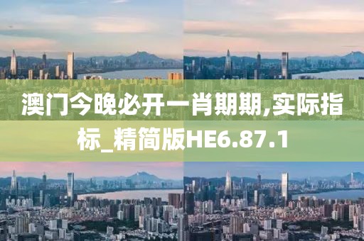 澳门今晚必开一肖期期,实际指标_精简版HE6.87.1