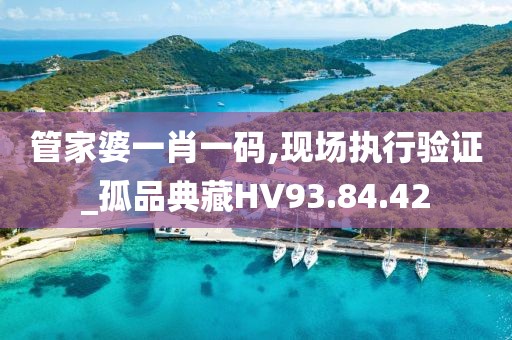 管家婆一肖一码,现场执行验证_孤品典藏HV93.84.42