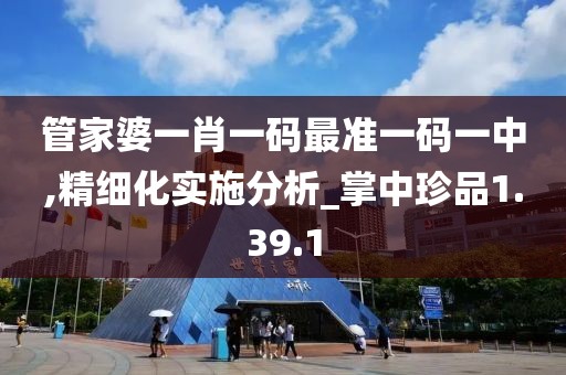 管家婆一肖一码最准一码一中,精细化实施分析_掌中珍品1.39.1