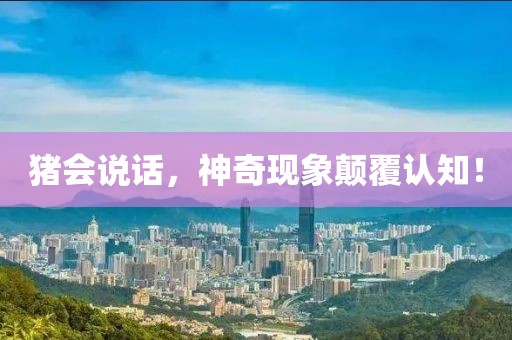 猪会说话，神奇现象颠覆认知！