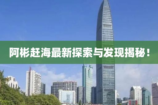 阿彬赶海最新探索与发现揭秘！