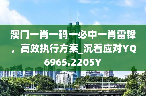 澳门一肖一码一必中一肖雷锋，高效执行方案_沉着应对YQ6965.2205Y