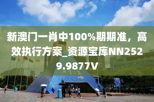 新澳门一肖中100%期期准，高效执行方案_资源宝库NN2529.9877V