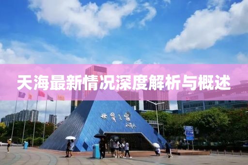 天海最新情况深度解析与概述