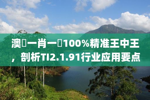 澳門一肖一碼100%精准王中王，剖析TI2.1.91行业应用要点