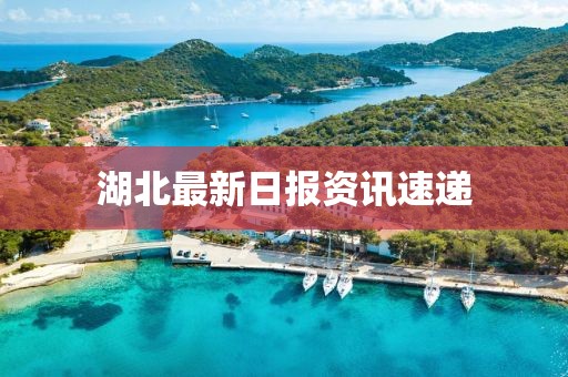 湖北最新日报资讯速递