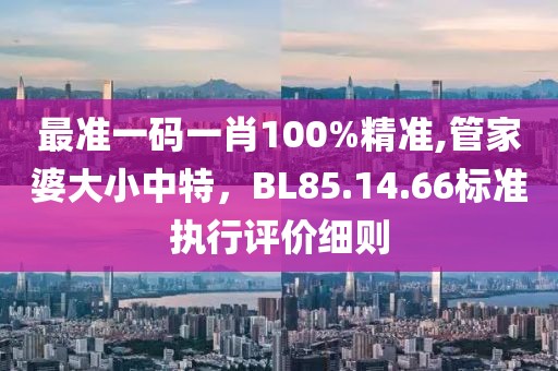 最准一码一肖100%精准,管家婆大小中特，BL85.14.66标准执行评价细则