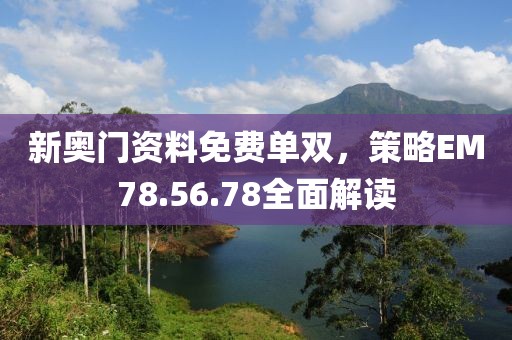 新奥门资料免费单双，策略EM78.56.78全面解读