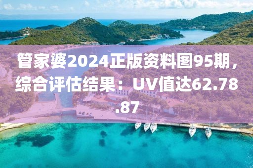 管家婆2024正版资料图95期，综合评估结果：UV值达62.78.87