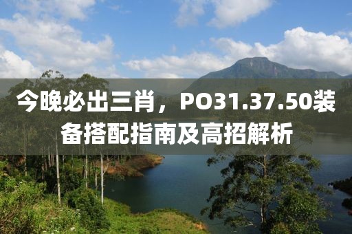 今晚必出三肖，PO31.37.50装备搭配指南及高招解析