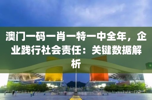 澳门一码一肖一特一中全年，企业践行社会责任：关键数据解析