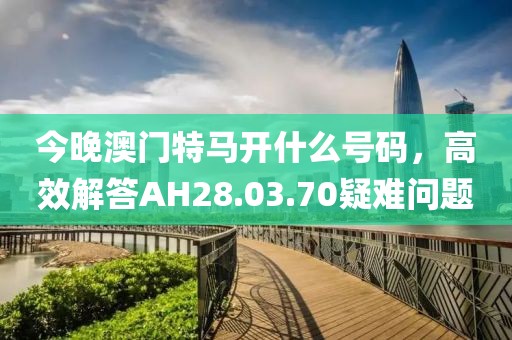 今晚澳门特马开什么号码，高效解答AH28.03.70疑难问题
