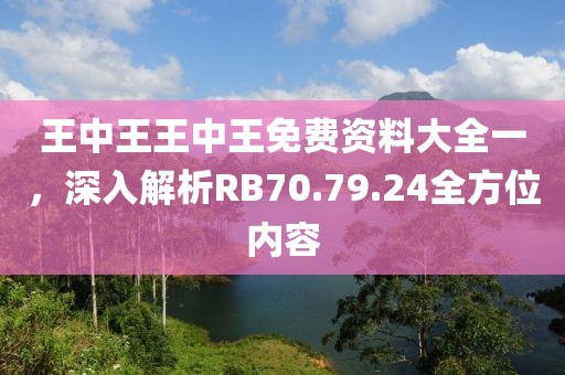 王中王王中王免费资料大全一，深入解析RB70.79.24全方位内容