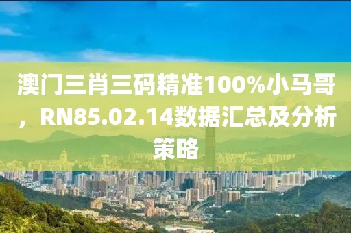 澳门三肖三码精准100%小马哥，RN85.02.14数据汇总及分析策略