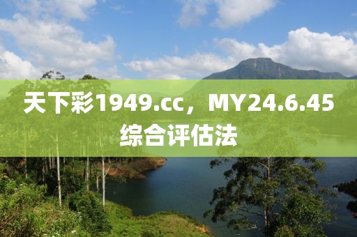 天下彩1949.cc，MY24.6.45综合评估法