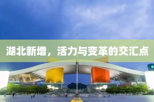 湖北新增，活力与变革的交汇点