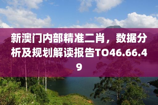 新澳门内部精准二肖，数据分析及规划解读报告TO46.66.49