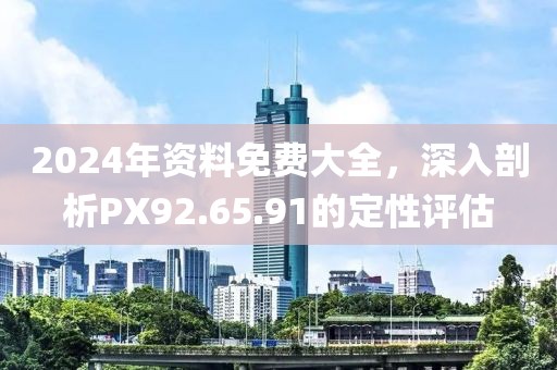 2024年资料免费大全，深入剖析PX92.65.91的定性评估
