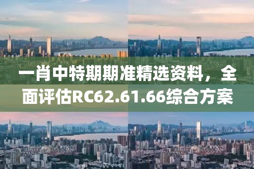 一肖中特期期准精选资料，全面评估RC62.61.66综合方案