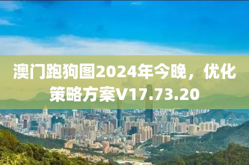 澳门跑狗图2024年今晚，优化策略方案V17.73.20