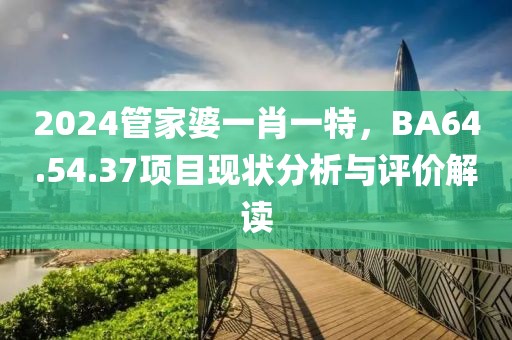 2024管家婆一肖一特，BA64.54.37项目现状分析与评价解读