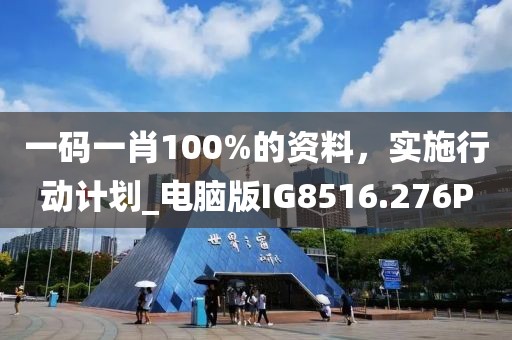 一码一肖100%的资料，实施行动计划_电脑版IG8516.276P