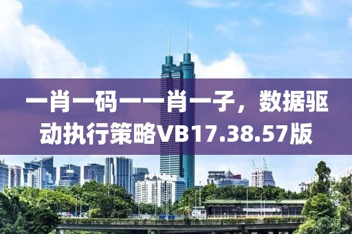 一肖一码一一肖一子，数据驱动执行策略VB17.38.57版