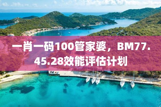 一肖一码100管家婆，BM77.45.28效能评估计划