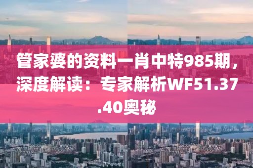 管家婆的资料一肖中特985期，深度解读：专家解析WF51.37.40奥秘