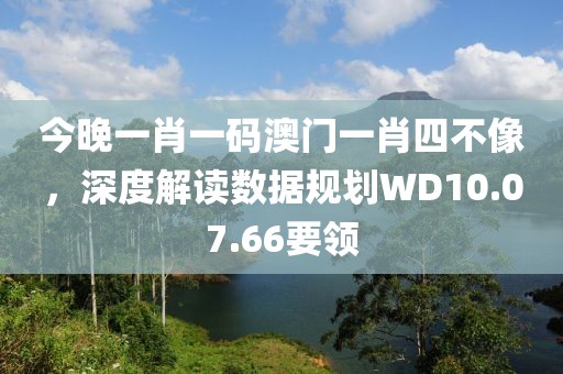 今晚一肖一码澳门一肖四不像，深度解读数据规划WD10.07.66要领