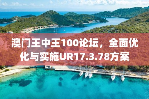 澳门王中王100论坛，全面优化与实施UR17.3.78方案