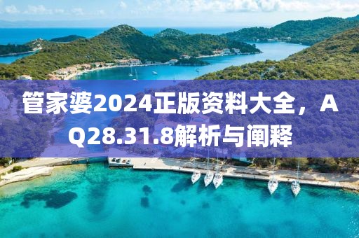 管家婆2024正版资料大全，AQ28.31.8解析与阐释