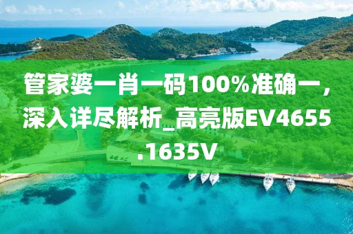 管家婆一肖一码100%准确一，深入详尽解析_高亮版EV4655.1635V