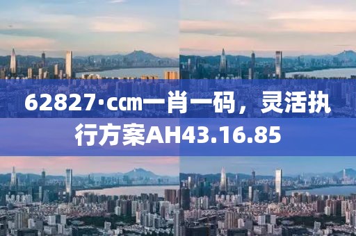 62827·c㎝一肖一码，灵活执行方案AH43.16.85