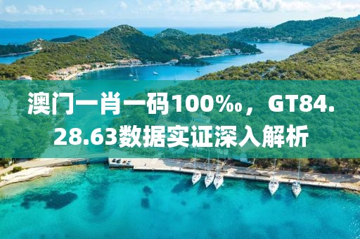 澳门一肖一码100‰，GT84.28.63数据实证深入解析