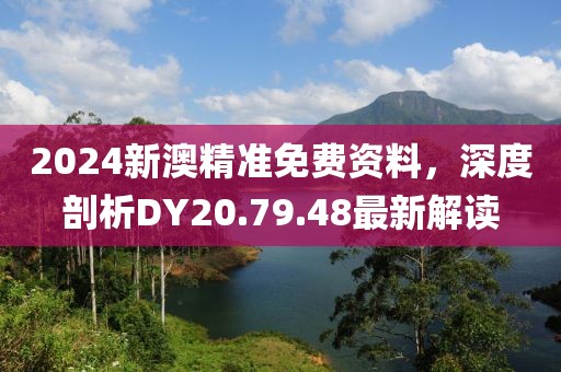 2024新澳精准免费资料，深度剖析DY20.79.48最新解读