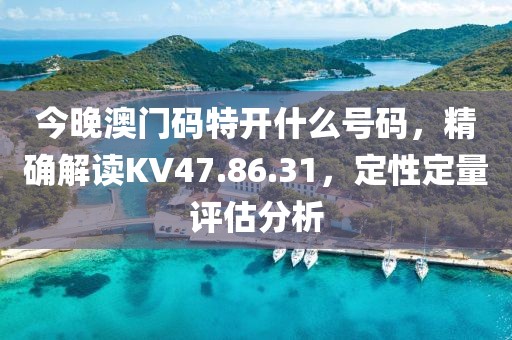 今晚澳门码特开什么号码，精确解读KV47.86.31，定性定量评估分析