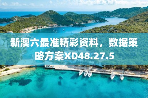 新澳六最准精彩资料，数据策略方案XD48.27.5