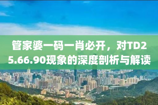 管家婆一码一肖必开，对TD25.66.90现象的深度剖析与解读