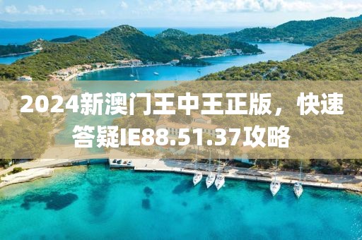 2024新澳门王中王正版，快速答疑IE88.51.37攻略