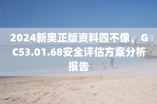 2024新奥正版资料四不像，GC53.01.68安全评估方案分析报告