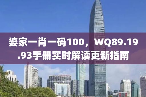 婆家一肖一码100，WQ89.19.93手册实时解读更新指南