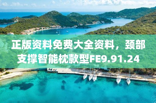 正版资料免费大全资料，颈部支撑智能枕款型FE9.91.24