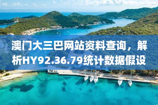 澳门大三巴网站资料查询，解析HY92.36.79统计数据假设