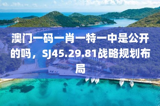澳门一码一肖一特一中是公开的吗，SJ45.29.81战略规划布局