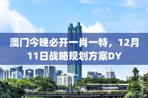 澳门今晚必开一肖一特，12月11日战略规划方案DY