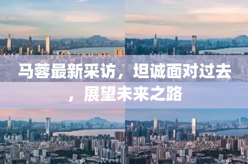 马蓉最新采访，坦诚面对过去，展望未来之路